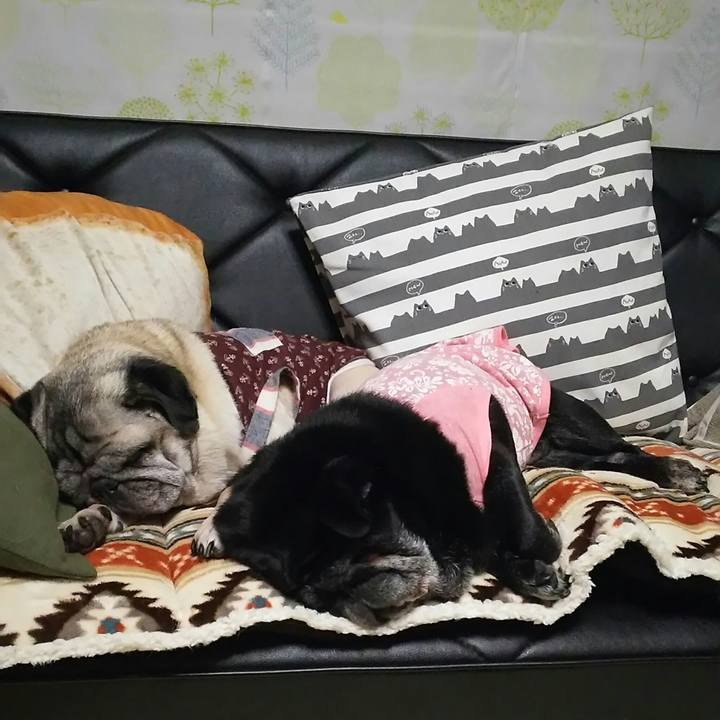 023548c3 d696 410f b07a c7824e3d91f7