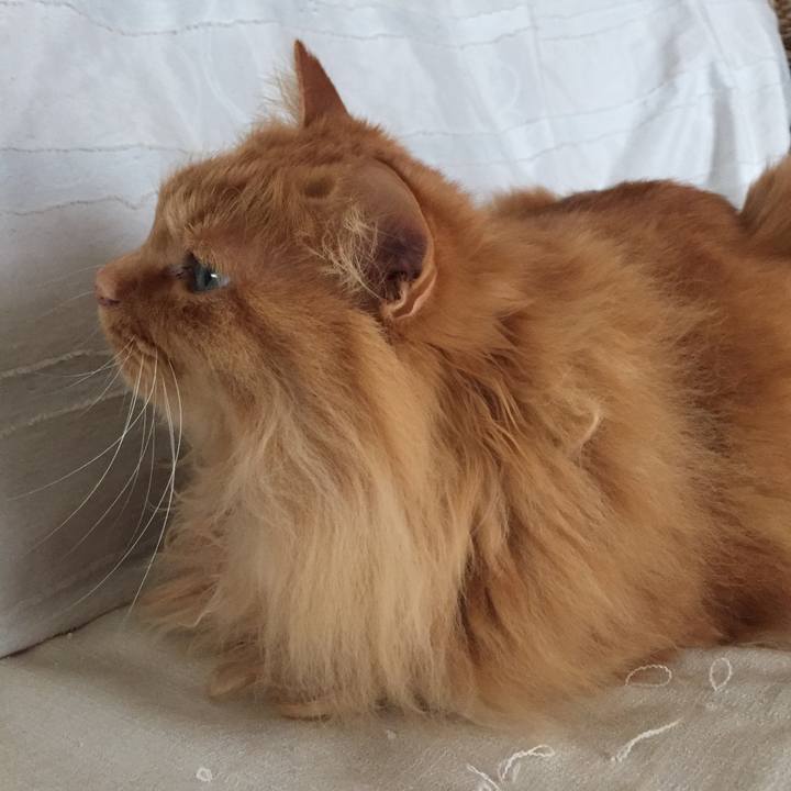 02355d65 39a3 45e9 804c 2b2df266cbb7