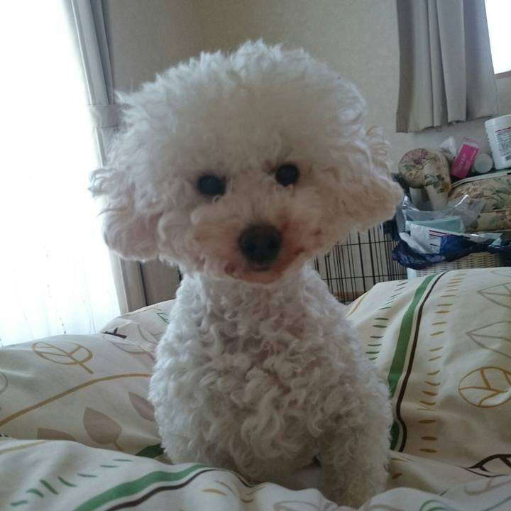 0235b91c aa46 4d3b b7b6 449ec9a1965b