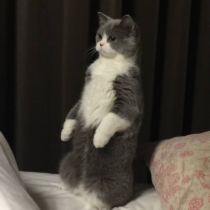 0235ea73 fd30 4f88 84de 25fb4350b5f7