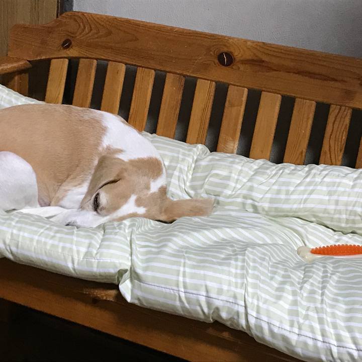 02360e56 c4d6 4cee 9897 f6104f7ec5dd