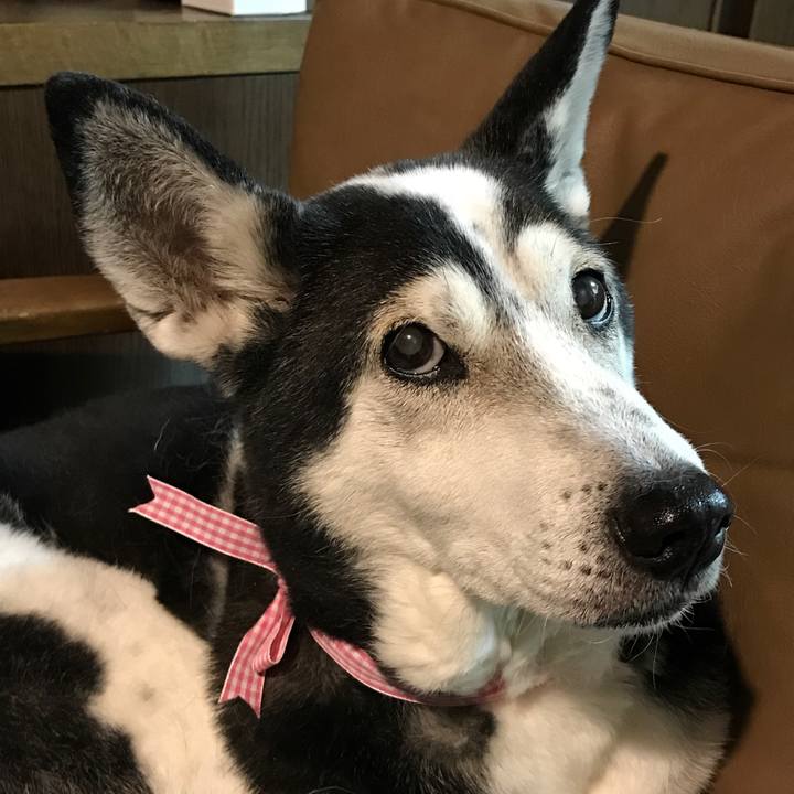 02363cfc af4b 4701 b811 2fe7c60364e3