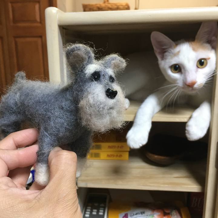 02363f8a e99b 414c 99ea 98db83280cc0