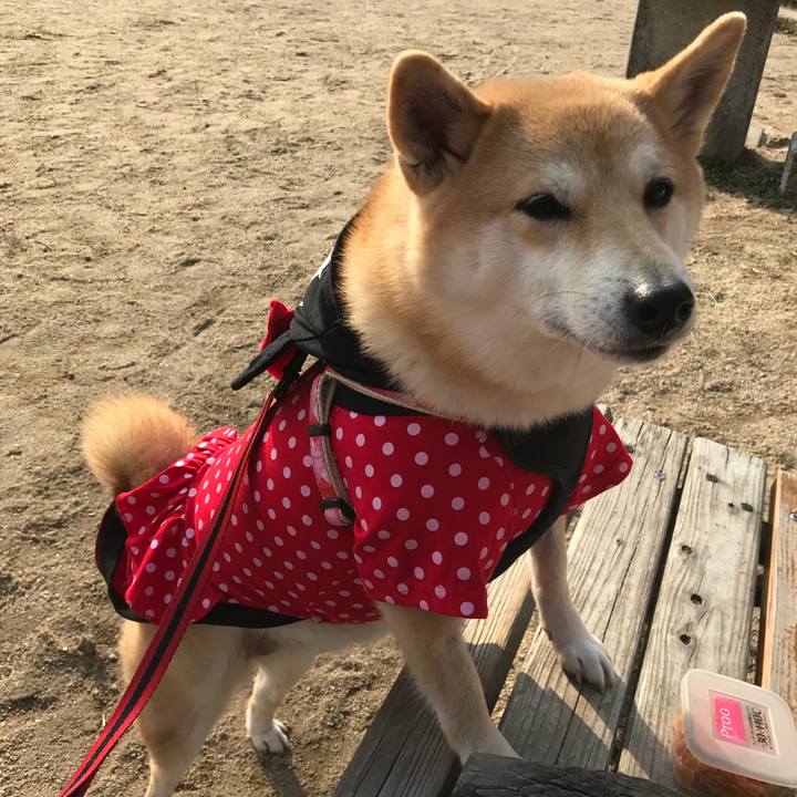 0236b117 06e3 450b 8465 5d931e4df5f5