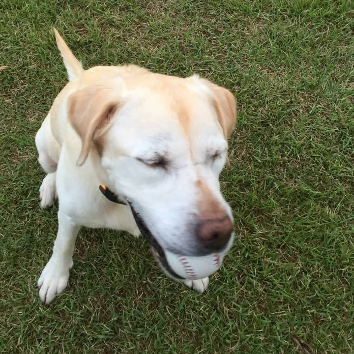 0236bff7 5cfd 419c 96ef 2f9193a6117d