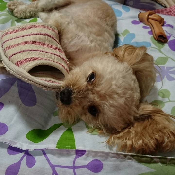 02374149 4e8c 4d38 8dfe 06e0fb5cb0ba