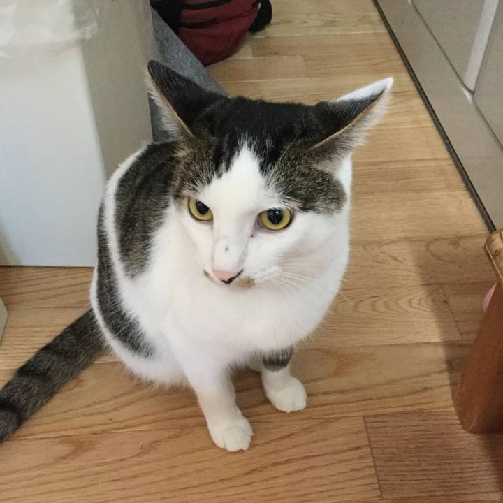 02379725 4fb1 4722 8132 228004e726ca