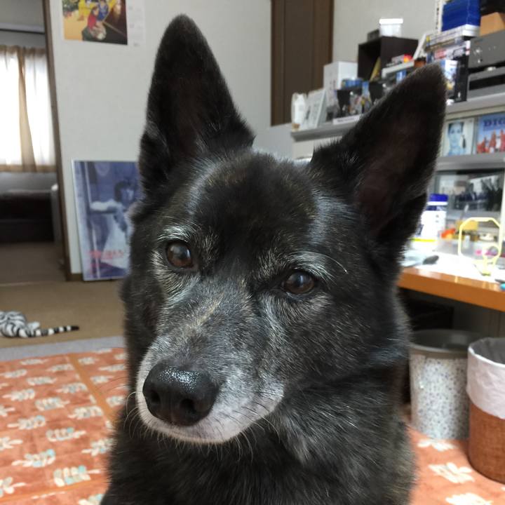 0237c31b 909f 4a78 8332 b97447075372