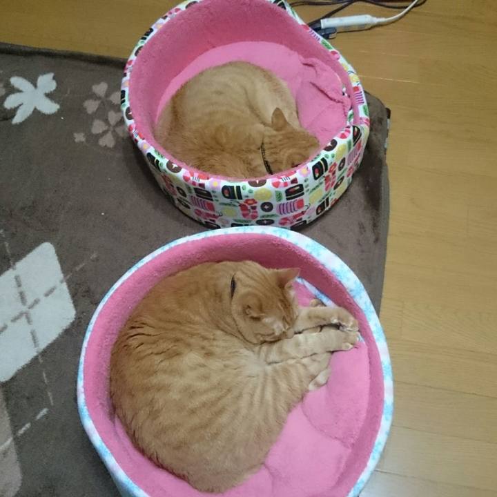 0237d347 54eb 4961 a31e a3cd1e0d3d62