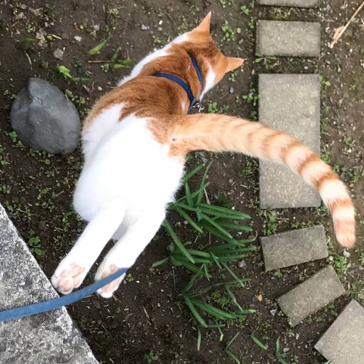 0238232f 31c9 464e bb5b e4d754c40380