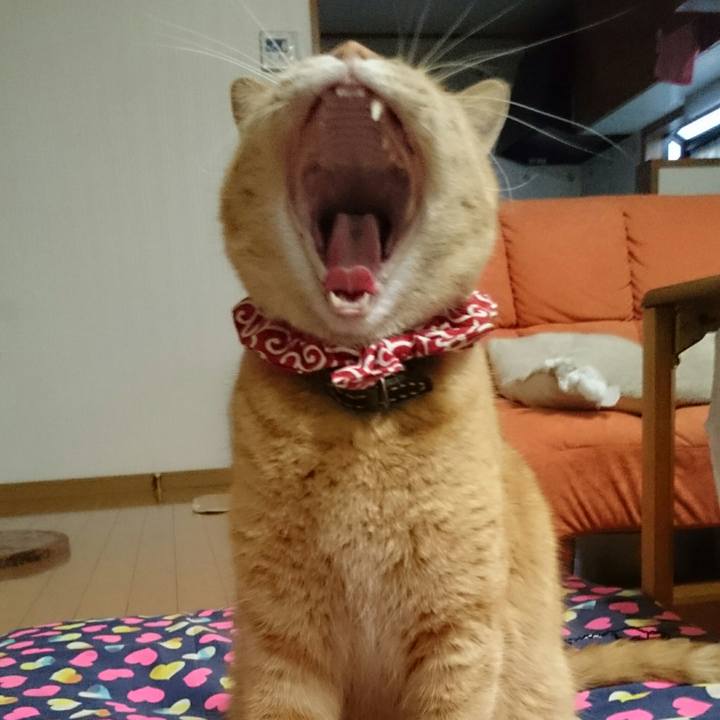 0239d1f5 03b0 4ed7 b9e7 12e99e3e8611