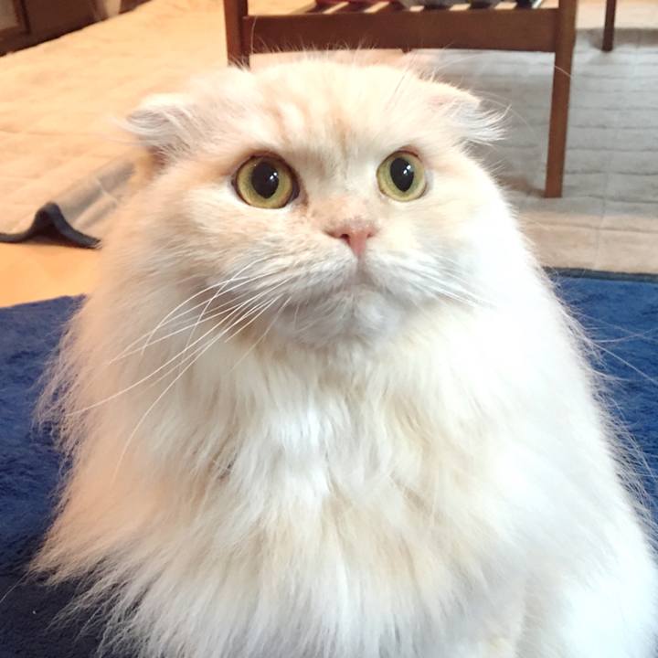 0239ddb6 7b39 4723 94c0 d334a314f136