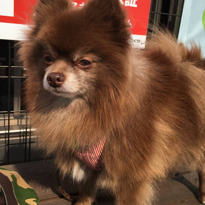 023a44ee ce5b 4cf8 8301 5fc4bc8dec3b