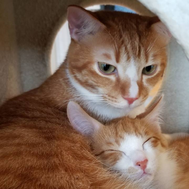 023ab046 659c 43f6 9b53 f568a0b334f5