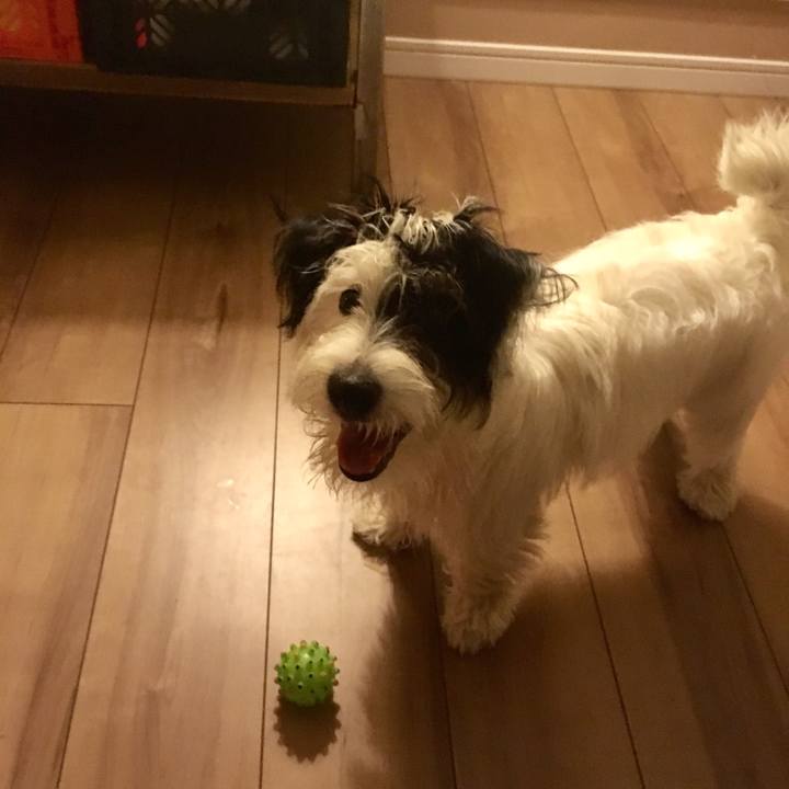 023acbd0 83e1 40eb a270 41fd1043cac2