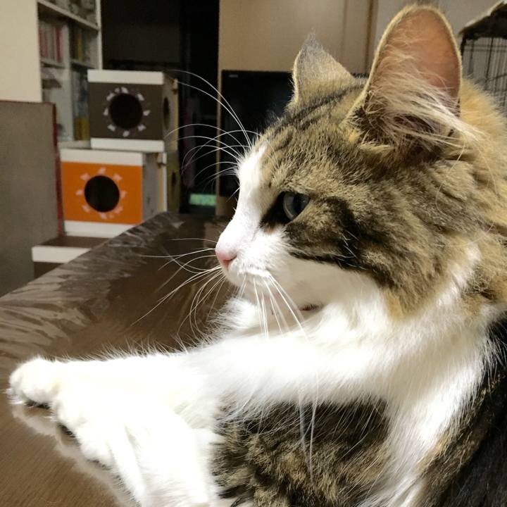 023af14f 0548 466a a1e7 f64a16626d0a