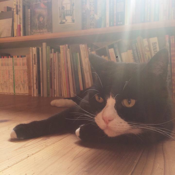 023af2a7 90c1 4207 8550 c81f2ca30e1b