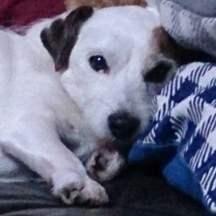 023ba4c5 d6fc 4e34 b490 91a6f3c00e9c