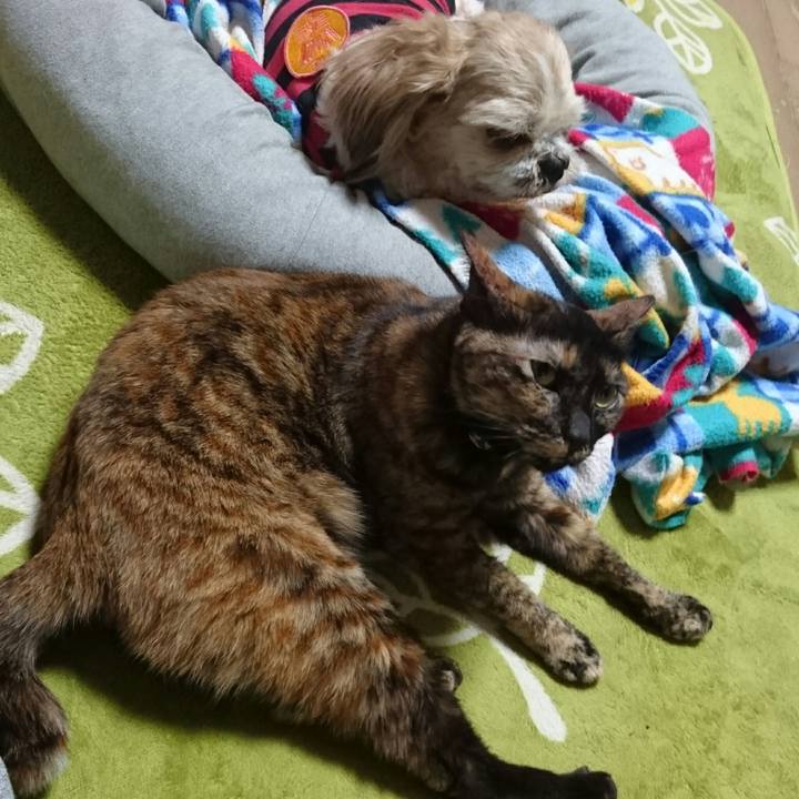 023bb0d0 e9b9 4a73 bb70 82d70e181e10