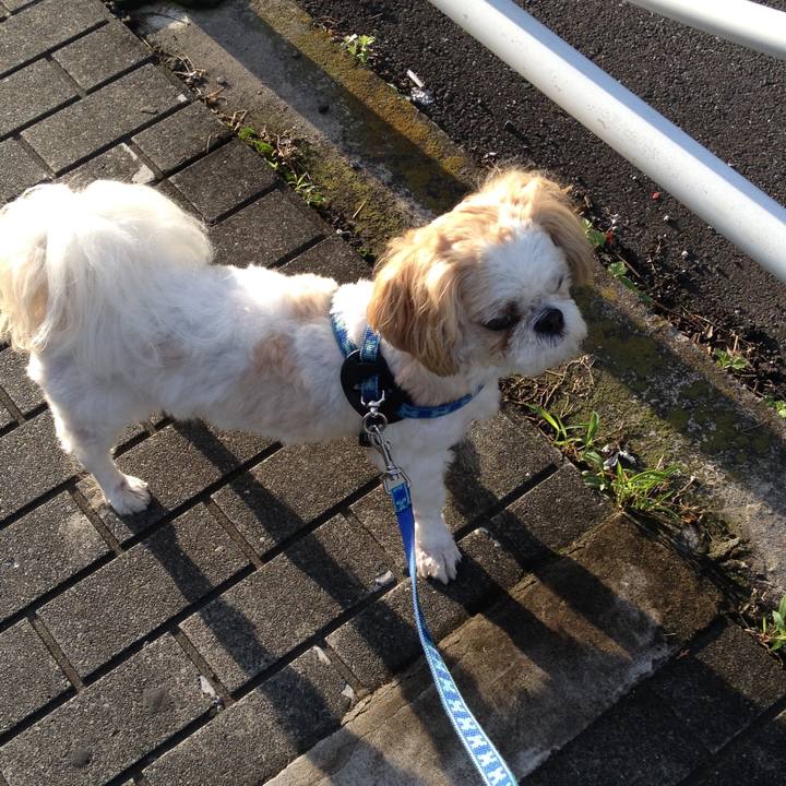 023c2fcb c34d 443d 83c4 9b24b64380bd