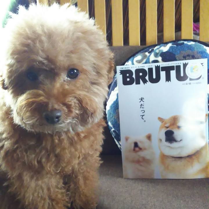 023c3bab 5bef 47ef 8d9b 1574f75ab4e7