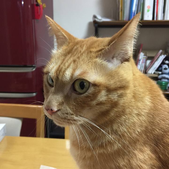 023c6328 783c 4a8a 91a4 fa475f0f6fac