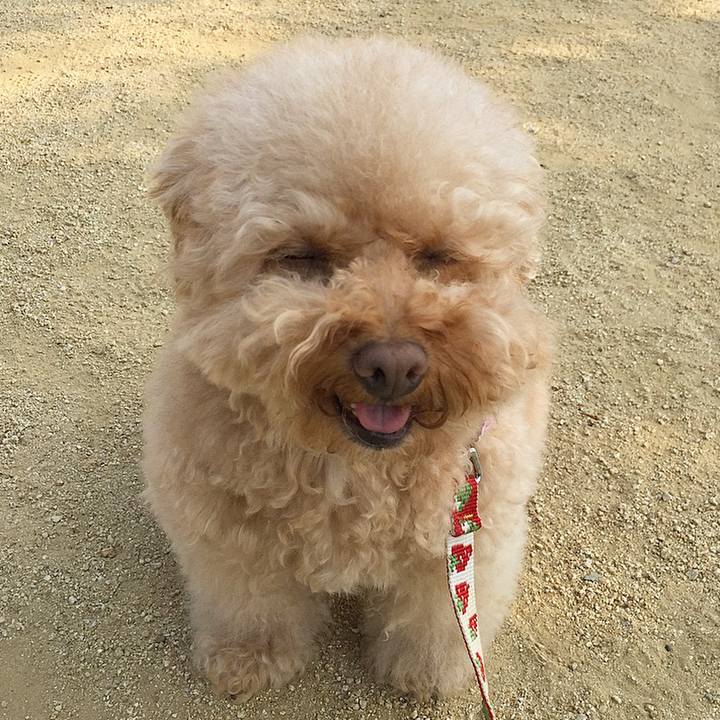 023c6ec6 e394 4c91 a0b6 bd00b179f826