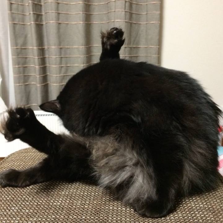 023cfa62 f1dd 4acc af66 32a6494db0bc