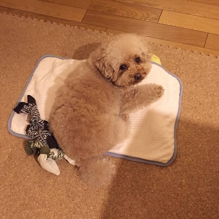 023dba29 d718 43f9 9c09 93bd2062d55e