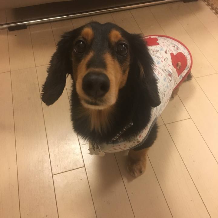 023f994d 93b3 43bb b02b 66c93d4f2e62