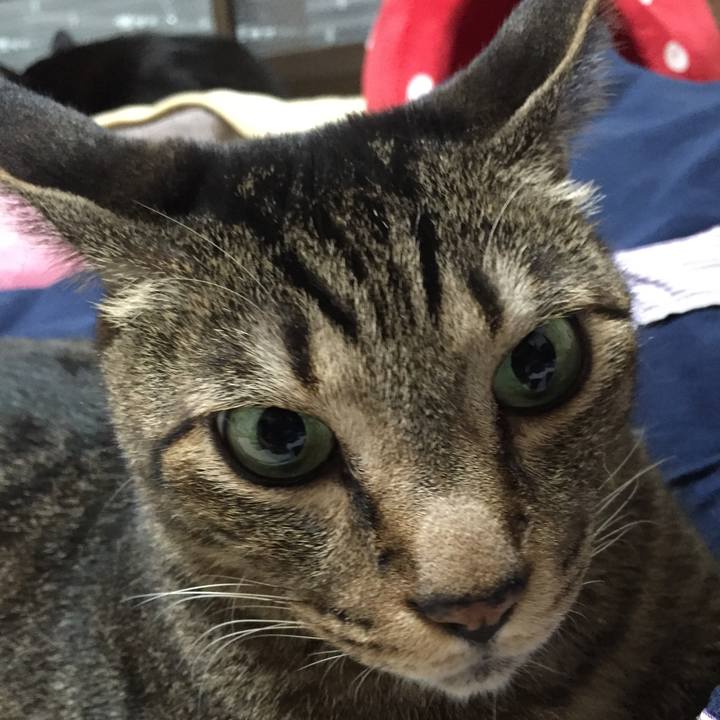 023fd924 5332 47b1 8edc a38184479485