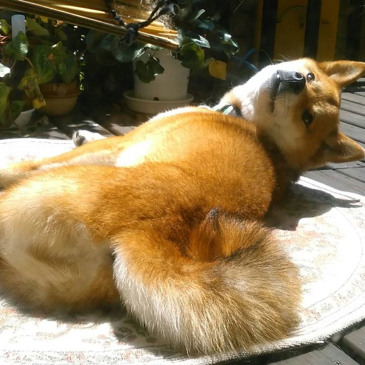 023ff2fc 25a3 4e17 aa26 7cc044361d96