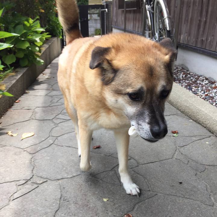 02403471 29eb 4ece a561 419ced2dafee