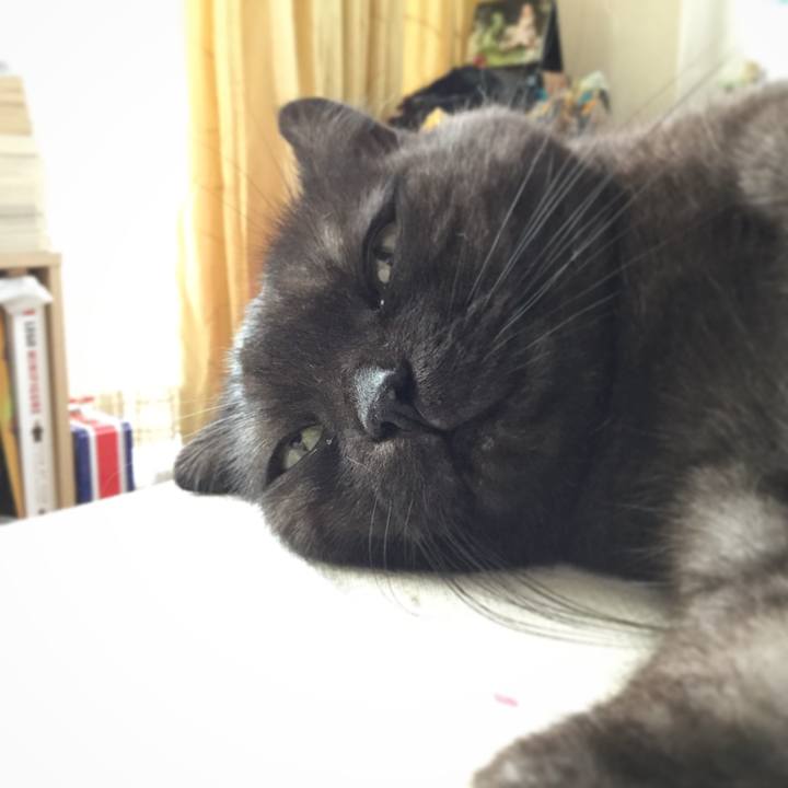 0241664c b918 4a4b b95d 1d8573fc87f5