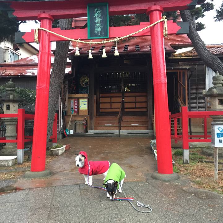 0242480c 1df5 452e 8a52 6071f33fa0d0