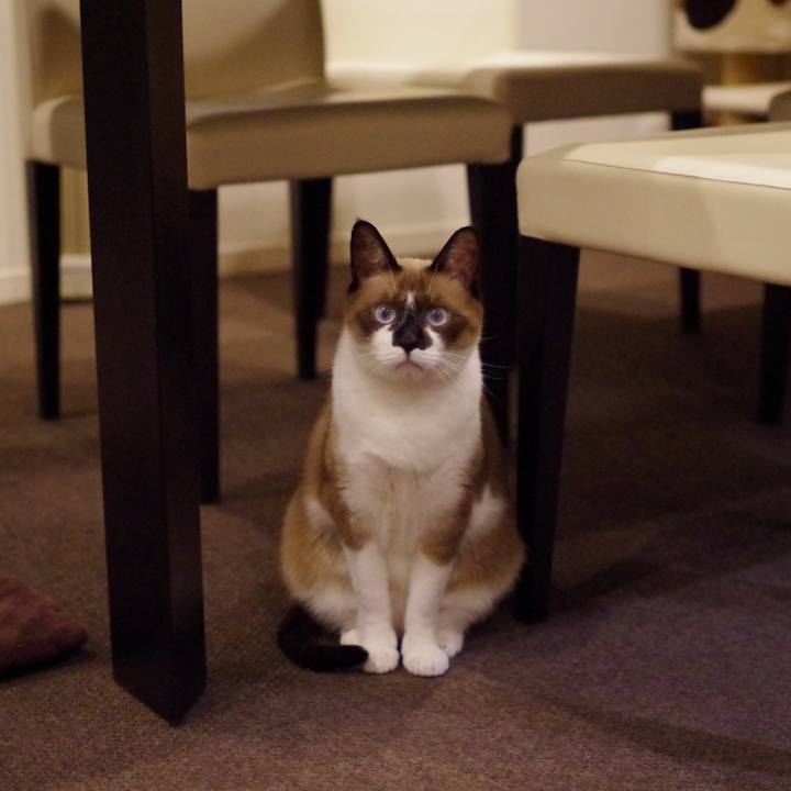 0243ea18 b14a 4658 990b 18862769d935