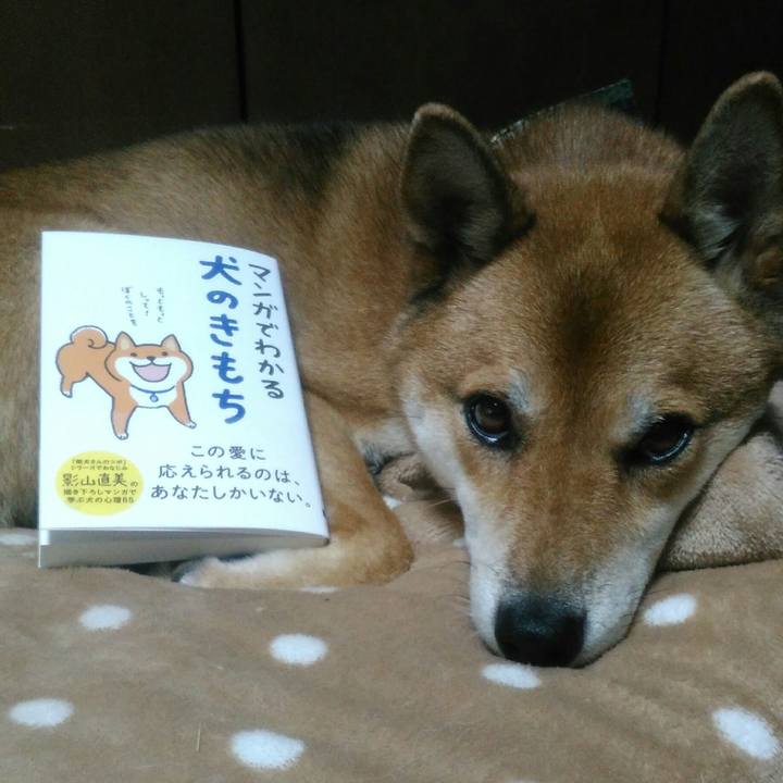 0243f11f 962e 439f af29 b47be6f37411