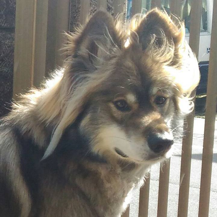 02440f0e 9f43 45ec bbab ad17e001a4a1