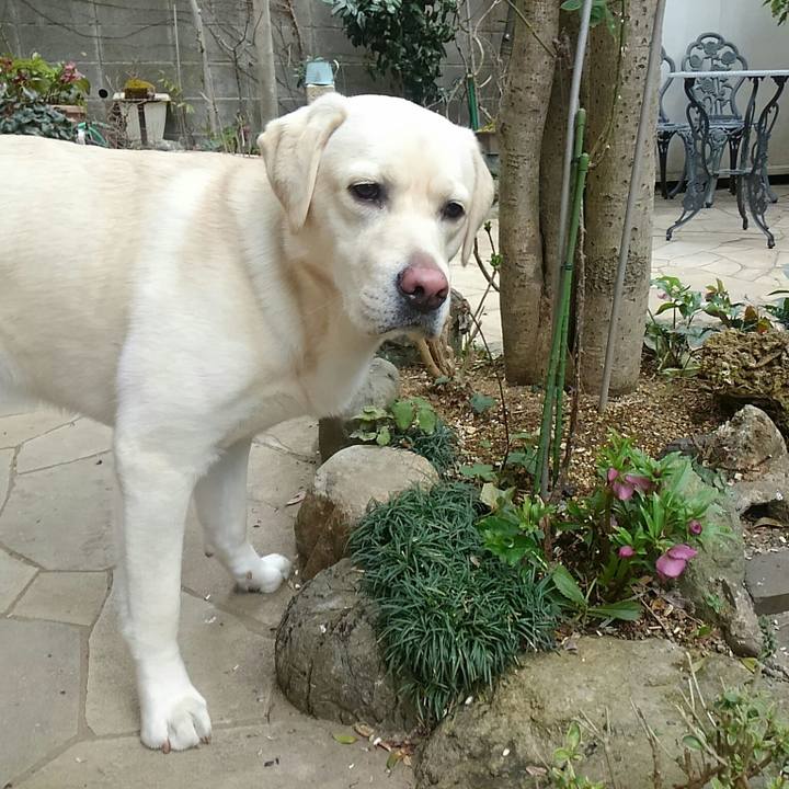 02441767 1539 41e7 9c38 b13db2cf06aa