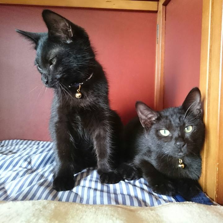 0244296f 86b7 4ee8 8450 9bb31e857f17