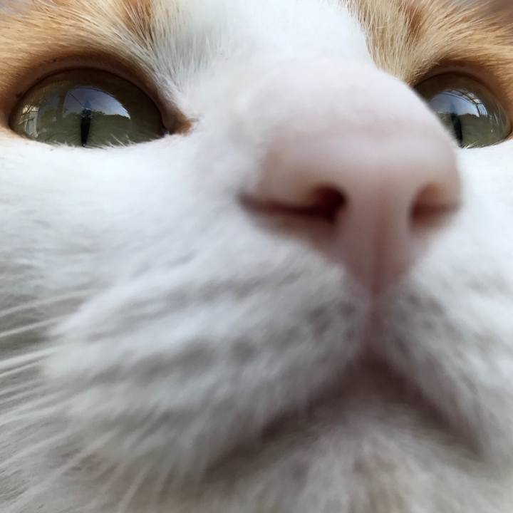 0244f994 1893 4c4a b517 ea9c10aa177e