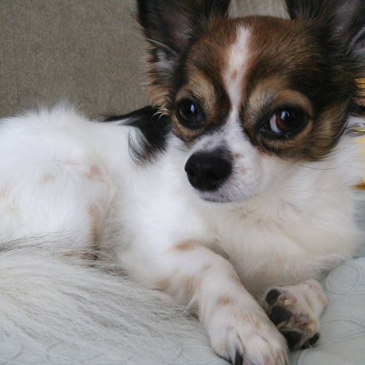 0244feb2 d568 4796 a4ae dcb622a4efad