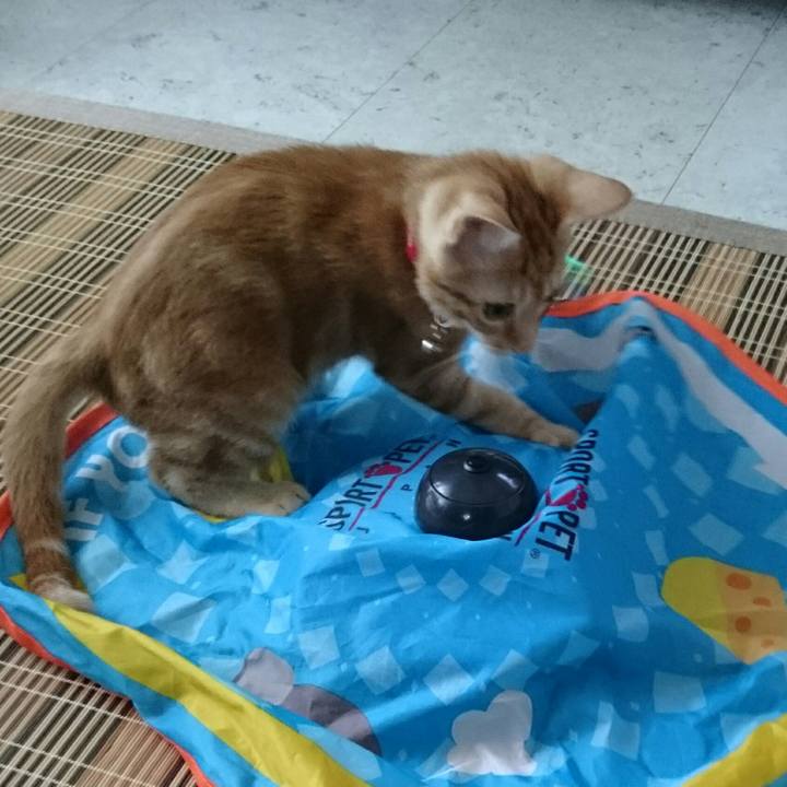 02461e71 93f6 4889 a9f4 15601f6b62c5