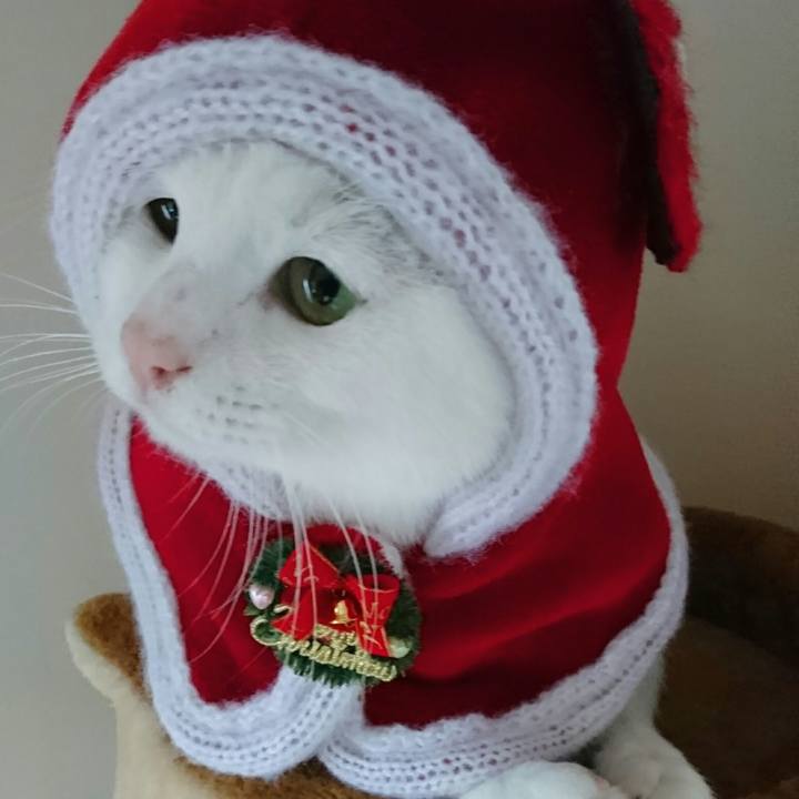 02465049 ca09 4368 a86d 102b2cdf9493