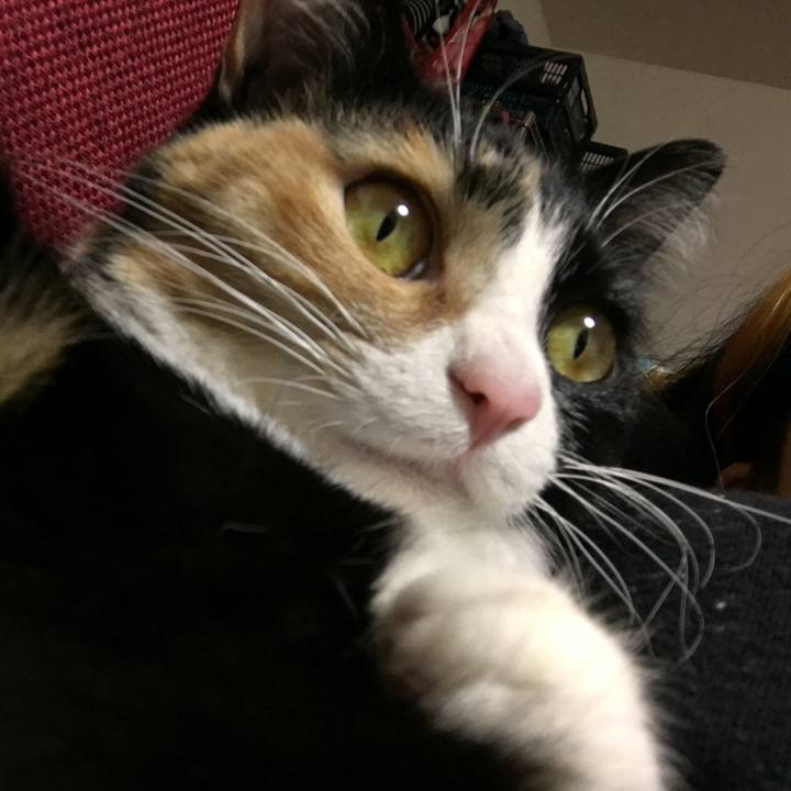 024687d5 1ce0 47e9 8139 559d128503c4