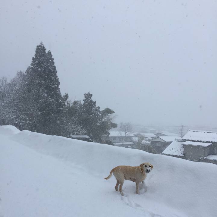 0246a6a5 4c94 48b8 b83f da5ff3e94074