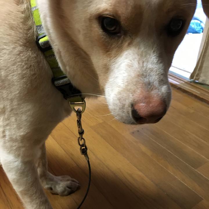 02475b2a 157b 4f59 9dd0 76f9cffd0f10