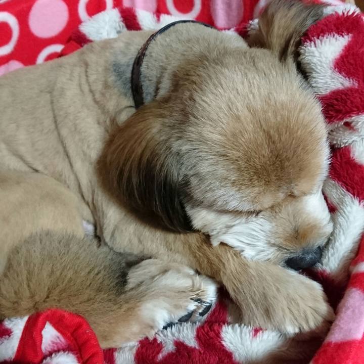 02476af7 28bc 42ca afad 8e6c26e16d2a