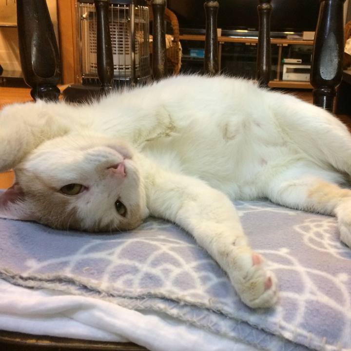 024788cc 3533 499d 920f 3c02def83826