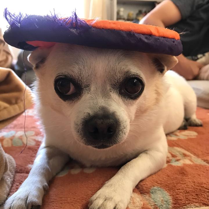 024820b5 aeac 43e2 8a1d 51450cd7a104